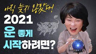 아직 늦지 않았다! 2021년 운 좋게 시작하려면?-새해맞이 '운' 하이라이트 정주행