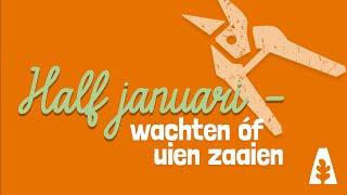 Stadstuinieren - Half januari, wachten óf uien zaaien