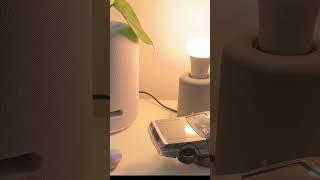 Alexa Hacks - Licht Timer