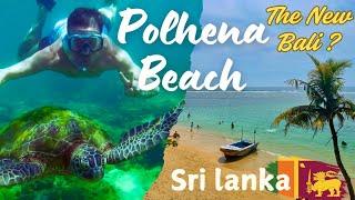 Polhena Beach Sri Lanka: Close Encounters with Turtles & Epic Beach Parties