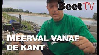 Vistips: meerval vissen vanaf de kant met Roy Noom  |  Beet