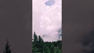 Mount Mitchell #tennessee #mountains #usa #travel