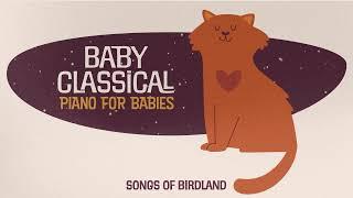 Piano Music for Babies  Baby Classical  Songs for calming your baby