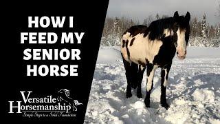 HOW I FEED MY SENIOR HORSE // Versatile Horsemanship