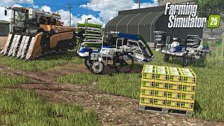 Farming Rice (Full process) Planting, Flooding, Harvesting, Rice Bags,... | Farming Simulator 25