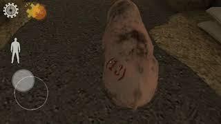 gioco con mia cugina a Mr meat
