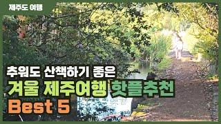 아이와 함께 여행하기 좋은 제주 겨울 산책 여행코스 추천