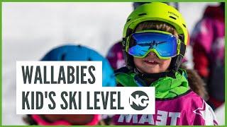 Wallabies Kids Level Guide - New Generation Ski & Snowboard School