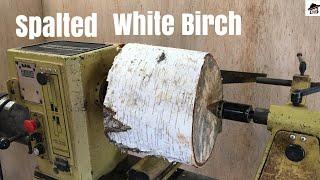 Woodturning- spalted white Birch