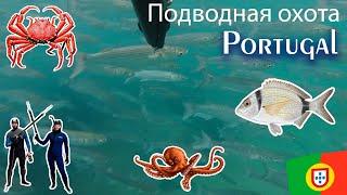 Вкусному Ужину Быть! Крабы, Осьминоги, Саргу - Подводная охота в Португалии #подводнаяохота