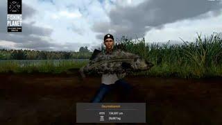 Fishing Planet Angeln Delta San Joaquin, River Fluss Monster Gourmet Barsch #chill stream