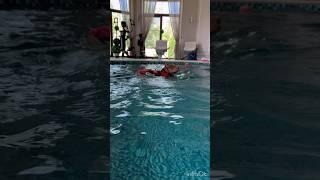 Хома(булли)восстанавливается после болезни…Собака плавает в бассейне…
