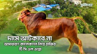 TCL Agro & Dairy Farm এ কৃষিকথা টিম । Dairy & Agro Business । কোরবানির কালেকশন