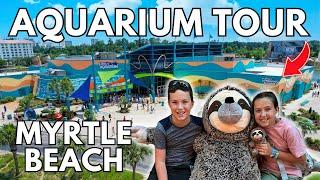 Ripleys Aquarium Myrtle Beach South Carolina Full Tour | Broadway At The Beach