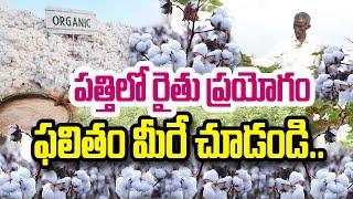 Natural పద్ధతిలో పత్తి సాగు.. రిజల్ట్ ఏంటి ? N Sudhakar | #organic cotton farming #cotton farming