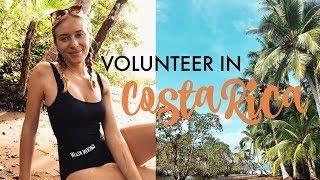 VOLUNTEER TRIP IN COSTA RICA | SEE Turtles & LAST