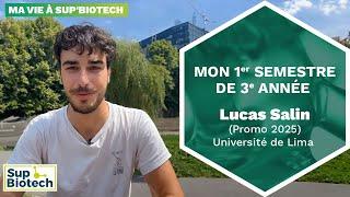 Mon 1er semestre de 3e année - Lucas Salin (promo 2025) – Université de Lima