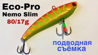 Дайте ДВА... || Eco-Pro VIB Nemo Slim 80 || ПОДВОДНАЯ СЪЁМКА || Раттлин на СУДАКА