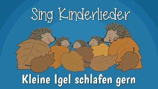 Kleine Igel schlafen gern - Kinderlieder zum Mitsingen | Sing Kinderlieder