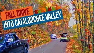 Busy Fall Drive into Cataloochee Valley