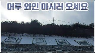 세계적으로 알아주는 무주 머루 와인 동굴 구경과  시음, 구매 한번 해보세요. Muju Travel Recommendation -Visit Meoru Wine Cave.