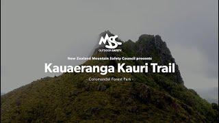 Kauaeranga Kauri Trail | Tramping (Hiking) Video Series | New Zealand