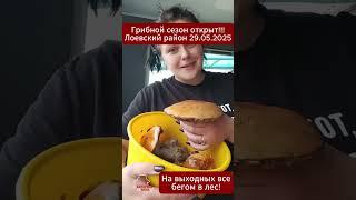 СРОЧНО В ЛЕС!!! Беларуска шокировала урожаем грибов!  #беларусь #грибы #лисички #тихаяохота #лоев