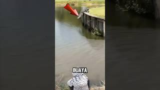 LIHAT GUYS  MANCING IKAN SEPERTI BUAYA ‼️ #shorts #fishing #mancing