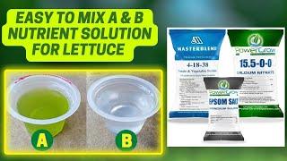 How To Mix Hydroponic Nutrient Solution For Lettuce | Hydroponic Nutrient Solution | Masterblend