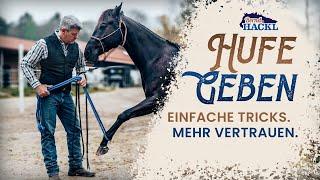 Hufe geben beibringen  Bernd Hackl Horsemanship