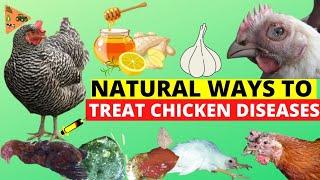 HOW TO TREAT 10 COMMON CHICKEN DISEASES NATURALLY AT HOME | Natural Treatment of Chicken Diseases