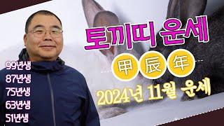 2024년 11월 토끼띠 안정적이면서 상승하는 환경인데..ㅣ갑진년 토끼띠운세 99년생 87년생 75년생 63년생 51년생