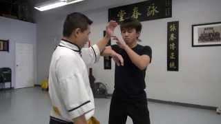 Wing Chun Lap Sao " Real reaction training"