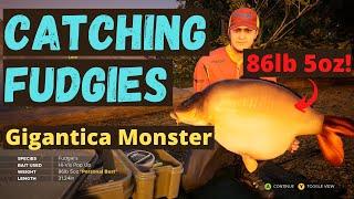 Catching Fudgies - Monster Trophy Unique Carp - Gigantica - Fishing Sim World Pro Tour 2020