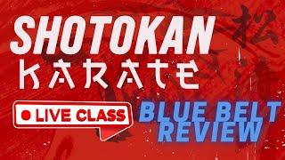 Shotokan Karate LIVE Class | Blue Belt Review