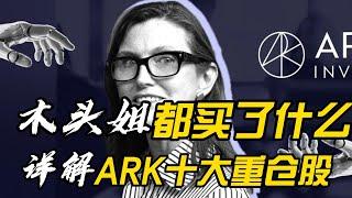 木头姐ARK基金10大重仓股票详解！有股票要翻7倍？#美股 #股票 #投資 #股市 #财经 #股票走势 #特斯拉 #roku #pltr #shopify #circle #稳定币
