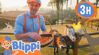 Blippi’s Day as an Animal Caretaker in Brazil! | Blippi | Kids TV Shows