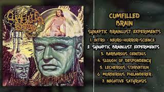 Cumfilled Brain - Synaptic Brainlust Experiments UNRELEASED ALBUM (2009 - Cybergrind / Technogore)