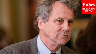 Sherrod Brown Leads Senate Banking Committee Hearing On Economic Impact Of Medical Debt