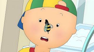 Caillou and the Bee | Caillou - WildBrain