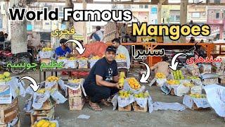 World Famous Mango| Biggest Fruit Mandi | Pakistan Best mango quality