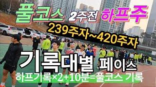 기록대별 페이스 /대회 2주전 하프주 /훈련과 몸 관리법/하프기록으로 풀코스 기록 예상하는법