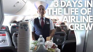 FLIGHT ATTENDANT LIFE | SCHEDULING AND PAY VLOG