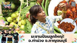 มะขามป้อมลูกใหญ่! อ.ท่าม่วง จ.กาญจนบุรี   | ตามอำเภอจาน | 9 ธ.ค.60 Full EP