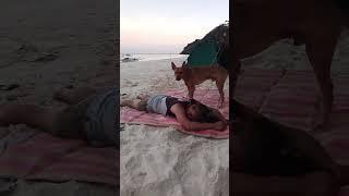 #shortvideo #youtubeshorts #youtubevideo #youtube
