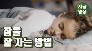 잠을 잘 자는 방법 [마음수련 명상 글]