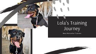 Best Puppy Trainers ||| 11 Month Old Rottweiler, Lola ||| New One Week Board and Train Program