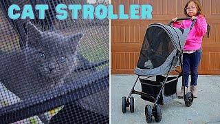 We Bought a Pet Stroller for our New Cat!