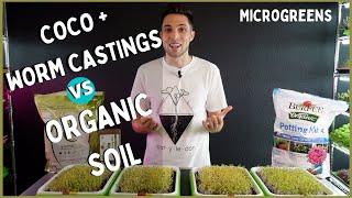 CocoCoir + WORM CASTINGS vs ORGANIC SOIL!? - Microgreen Grow Test