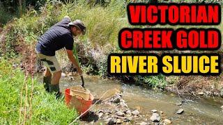 VICTORIAN CREEK GOLD with TWO BROTHERS PROSPECTING!